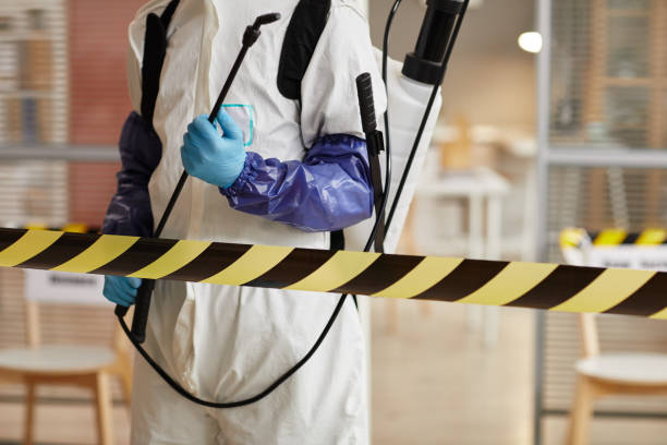 Professional Sewage Cleanup technician working in Madison, NE